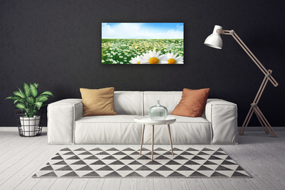 Canvas doek foto Daisy meadow flowers field