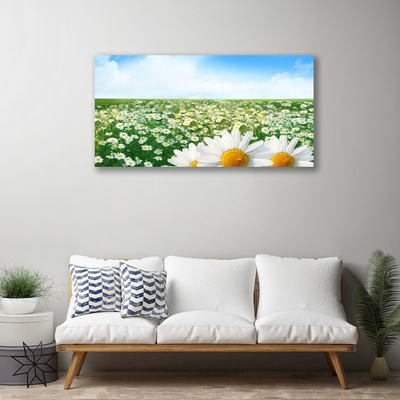 Canvas doek foto Daisy meadow flowers field