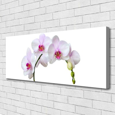 Canvas doek foto Orchidee orchidee bloemen