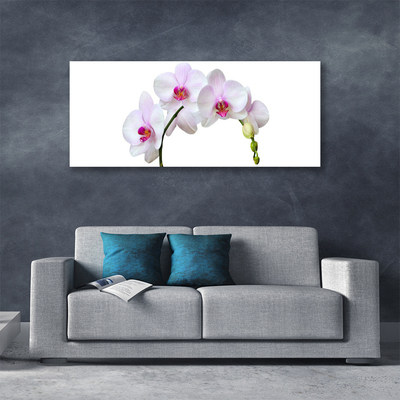 Canvas doek foto Orchidee orchidee bloemen