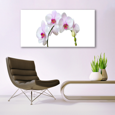 Canvas doek foto Orchidee orchidee bloemen