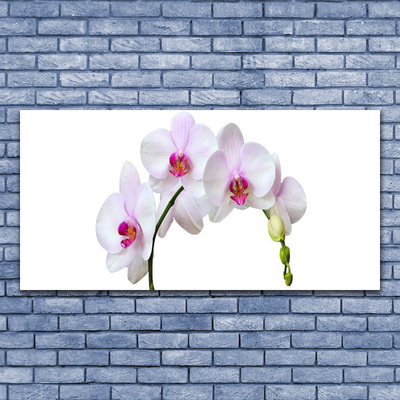 Canvas doek foto Orchidee orchidee bloemen