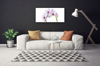 Canvas doek foto Orchidee orchidee bloemen