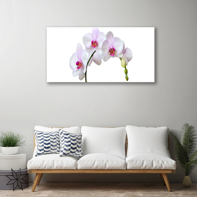 Canvas doek foto Orchidee orchidee bloemen