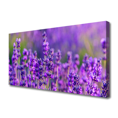 Canvas doek foto Paarse lavendel field