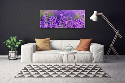 Canvas doek foto Paarse lavendel field