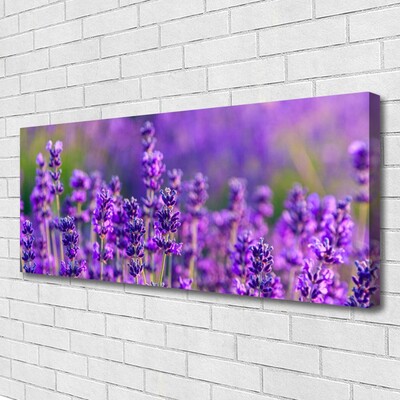 Canvas doek foto Paarse lavendel field