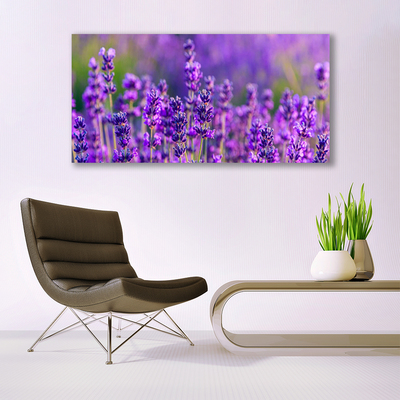 Canvas doek foto Paarse lavendel field