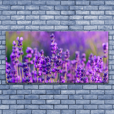 Canvas doek foto Paarse lavendel field