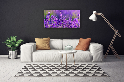 Canvas doek foto Paarse lavendel field