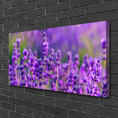 Canvas doek foto Paarse lavendel field