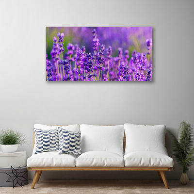 Canvas doek foto Paarse lavendel field