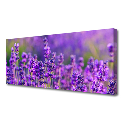 Canvas doek foto Paarse lavendel field