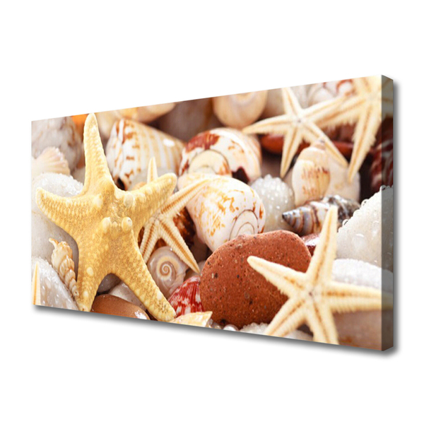 Canvas doek foto Zeester shells beach