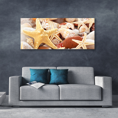 Canvas doek foto Zeester shells beach