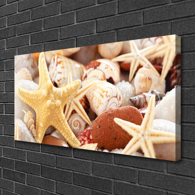 Canvas doek foto Zeester shells beach