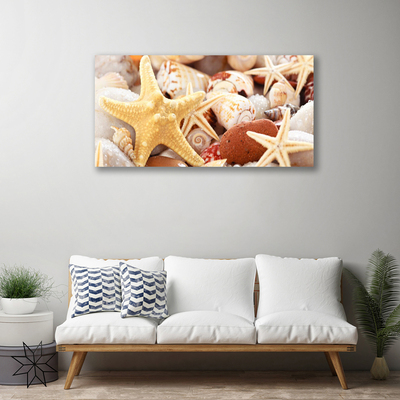 Canvas doek foto Zeester shells beach