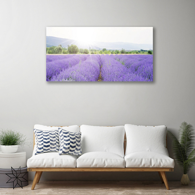 Canvas doek foto Gebied van de lavendel weide natuur