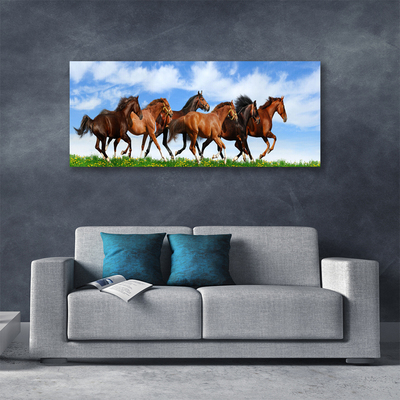 Canvas doek foto Galopperen paarden op weiland