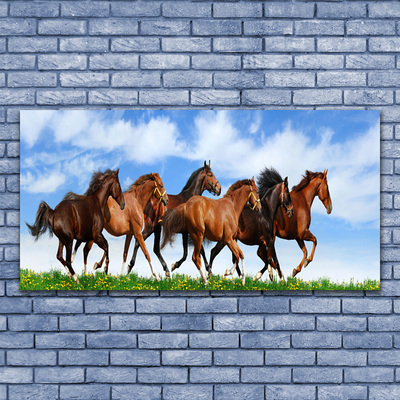 Canvas doek foto Galopperen paarden op weiland