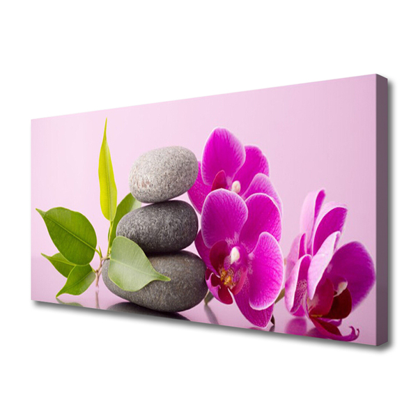 Canvas doek foto Orchidee orchidee bloemen