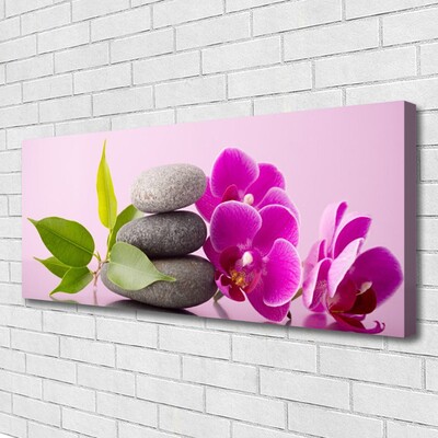 Canvas doek foto Orchidee orchidee bloemen