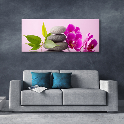 Canvas doek foto Orchidee orchidee bloemen