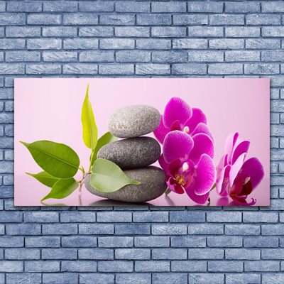 Canvas doek foto Orchidee orchidee bloemen