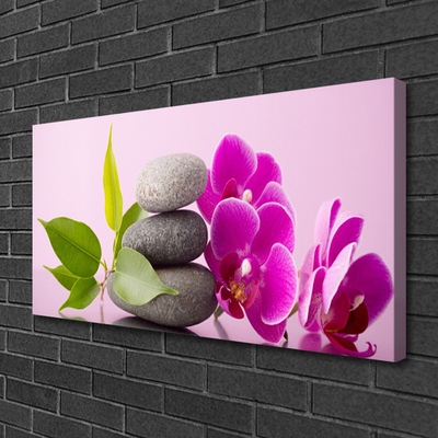 Canvas doek foto Orchidee orchidee bloemen