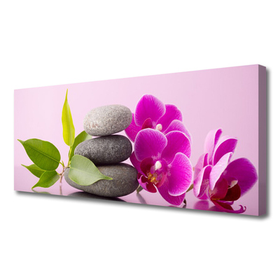 Canvas doek foto Orchidee orchidee bloemen