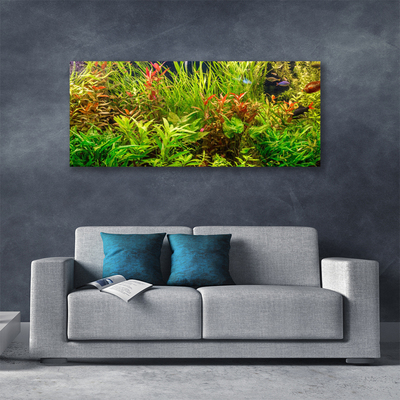 Canvas doek foto Aquarium vissen planten