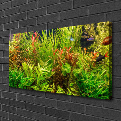 Canvas doek foto Aquarium vissen planten