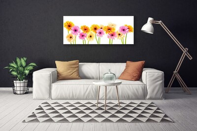 Canvas doek foto Kleurrijke bloemen daisy