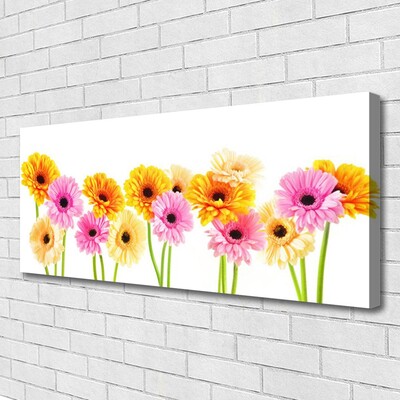 Canvas doek foto Kleurrijke bloemen daisy