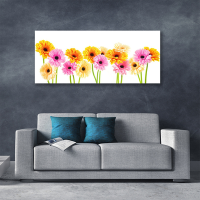 Canvas doek foto Kleurrijke bloemen daisy