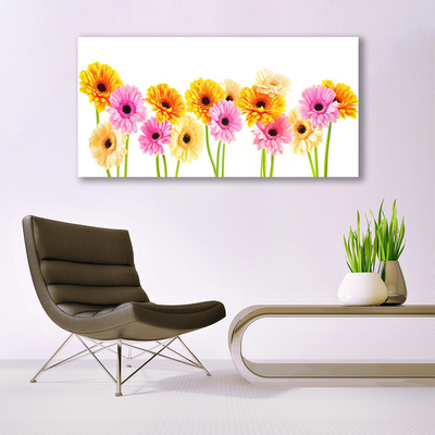 Canvas doek foto Kleurrijke bloemen daisy