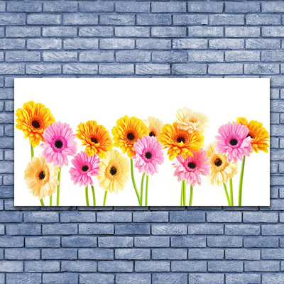 Canvas doek foto Kleurrijke bloemen daisy