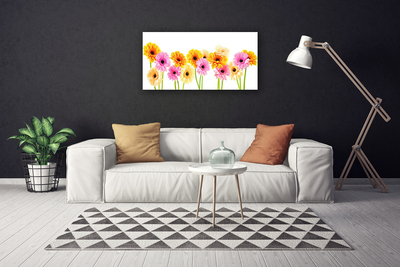 Canvas doek foto Kleurrijke bloemen daisy