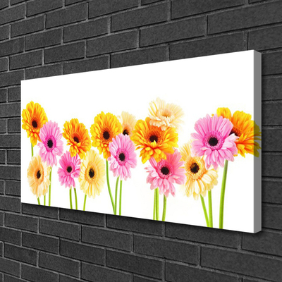 Canvas doek foto Kleurrijke bloemen daisy