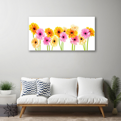 Canvas doek foto Kleurrijke bloemen daisy