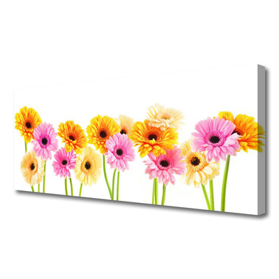 Canvas doek foto Kleurrijke bloemen daisy