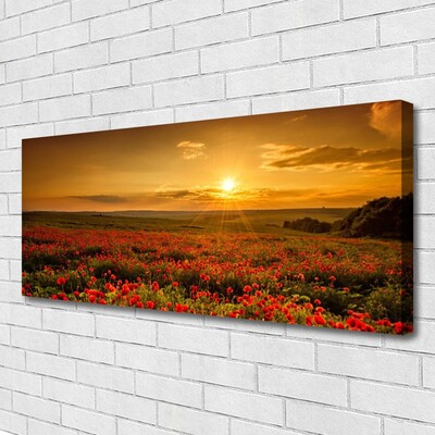 Canvas doek foto Veld met klaprozen sunset meadow