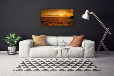 Canvas doek foto Veld met klaprozen sunset meadow