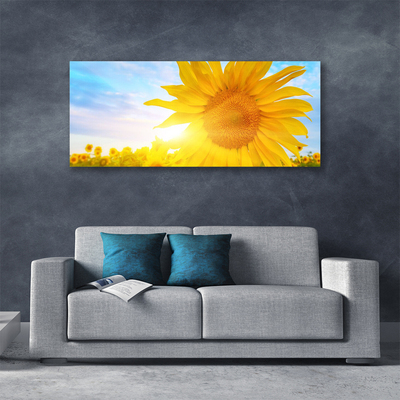 Canvas doek foto Zonnebloem sun flower