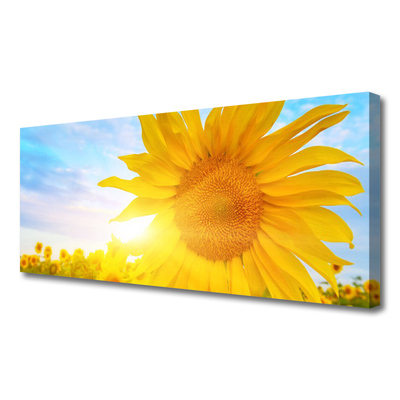 Canvas doek foto Zonnebloem sun flower