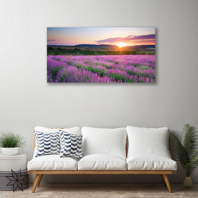Canvas doek foto West meadow lavender fields