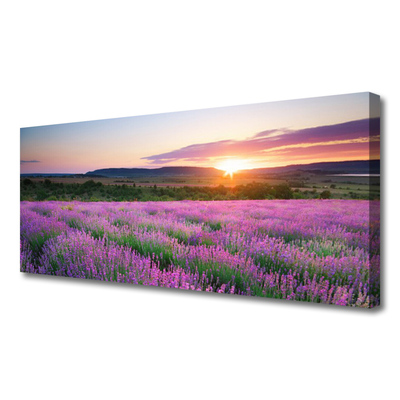 Canvas doek foto West meadow lavender fields