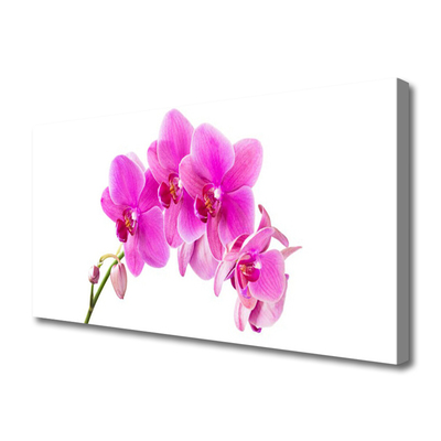 Canvas doek foto Orchidee bloem orchidee