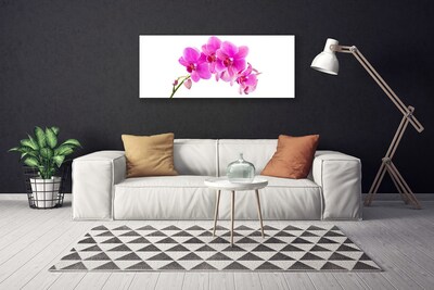 Canvas doek foto Orchidee bloem orchidee