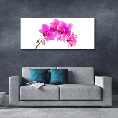 Canvas doek foto Orchidee bloem orchidee